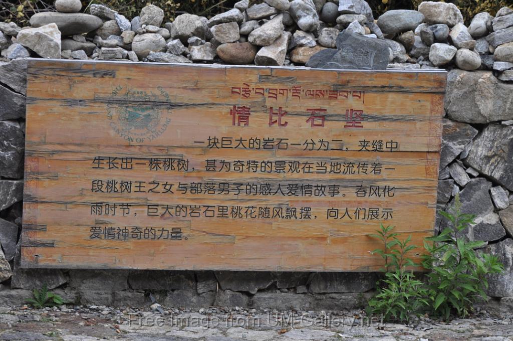 12092011Yarlung Tsangpo River-Buddha dunes_sf-DSC_0155.JPG